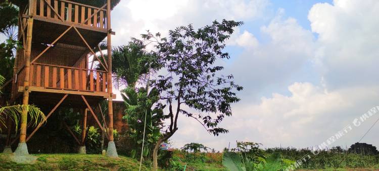 霎哈嘉萨瓦度假别墅(Sahaja Sawah Resort)图片