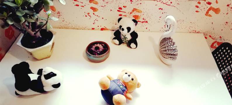 成都橡皮客栈图片