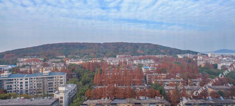 趣住酒店(街道口武汉大学东湖店)图片