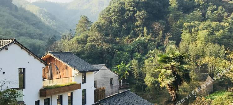 莫干山糊涂家宠物主题民宿图片