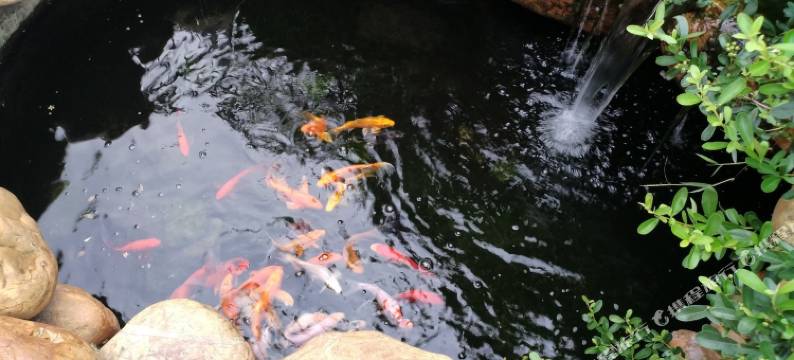 清远小英碧桂园清泉城别墅图片