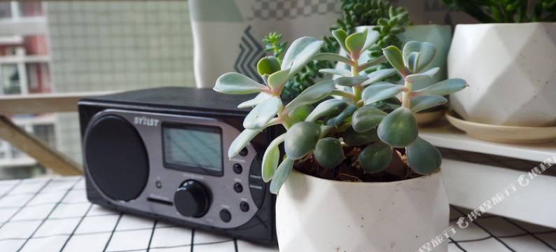 一条民宿(成都通惠门路店)图片