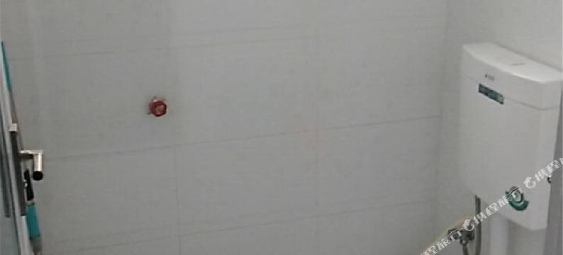 凤凰不会飞的鸟客栈图片