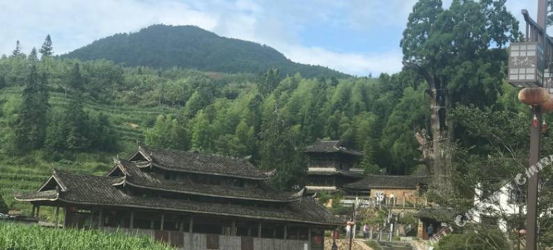 景宁青田山居图片