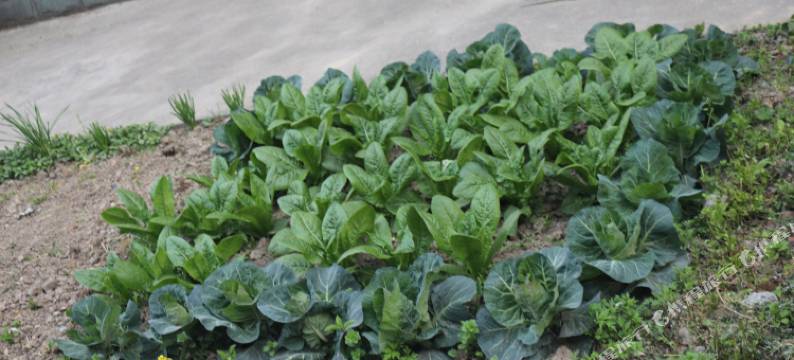 上海途窝青年旅社(虹桥火车站会展中心店)图片