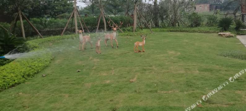 肇庆恒大鼎湖豪庭普通公寓图片