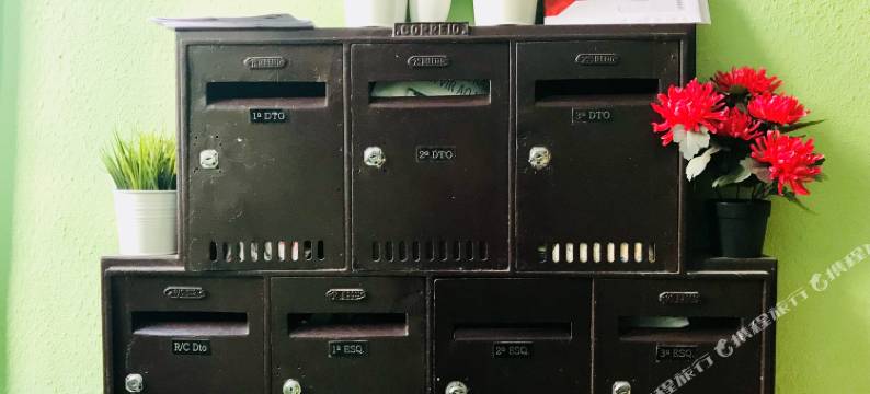 里斯本卡尔迪纳斯＆佩特拉斯公寓(Cardinas & Petalas)图片