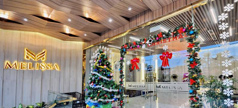 芽庄梅丽莎酒店(Melissa Hotel Nha Trang)图片