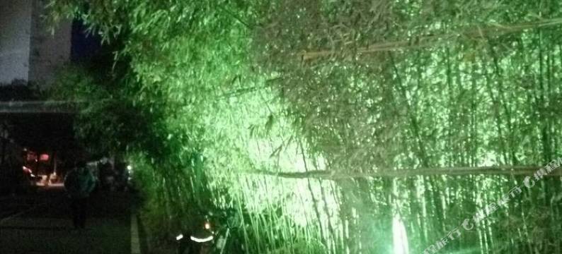 听海公寓(青岛东海西路店)图片