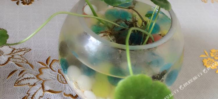 重庆趣窝民宿图片