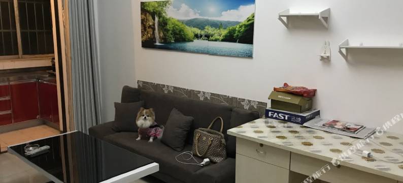 西安萌萌妈公寓(振华路西口分店)图片