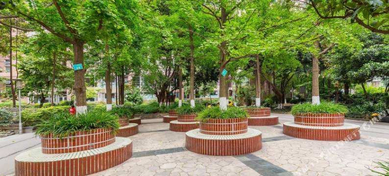 成都鱼鱼的书香之家普通公寓图片