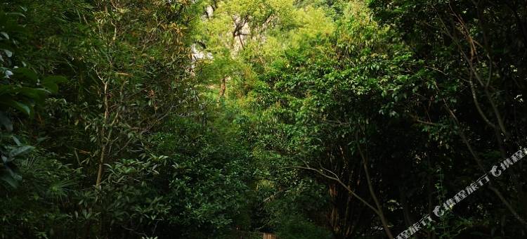 阳朔刘姐民宿Hotel图片