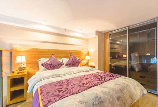 上海Nick公寓(高科东路分店)