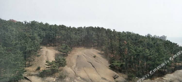 青岛飞翔鸟公寓图片