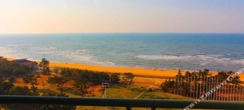 大海之家海景公寓(威海国际海景城店)图片