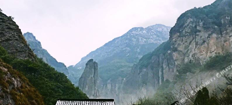 雁荡山茶田吾舍客栈图片