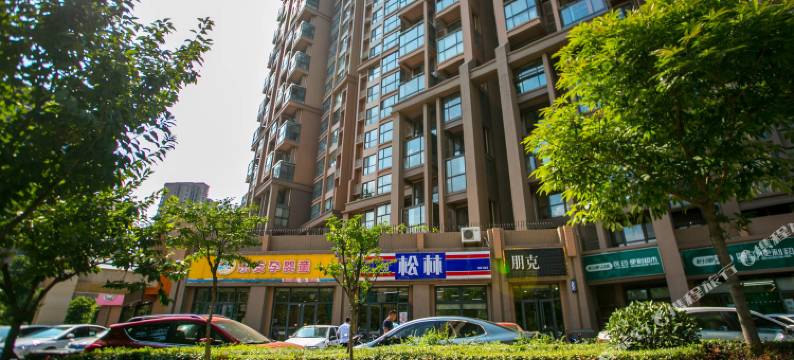 西安大雁塔大唐芙蓉园曲江池遗址高档两室特色民宿(北池头一路分店)图片