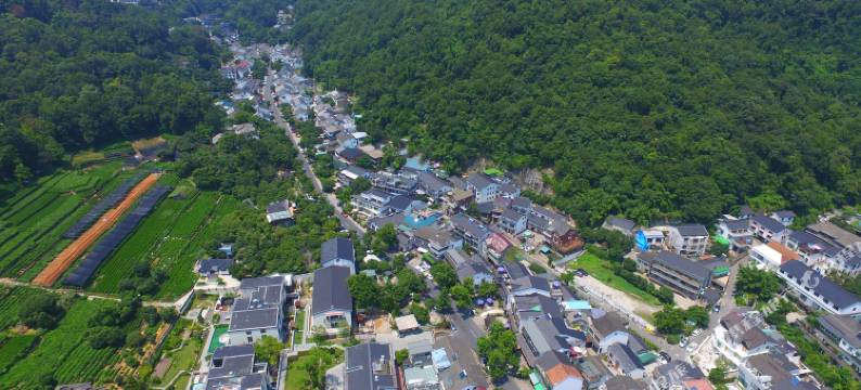 杭州栖在度假民宿(西湖风景区满觉陇店)图片