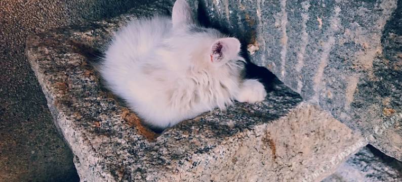 蓬莱宽宿民宿图片