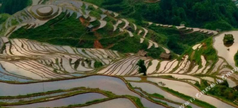 从江加榜梯田苗乡缘精品民宿图片