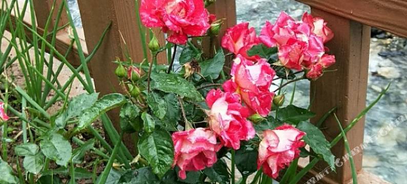 神农架宝捷家庭旅馆图片