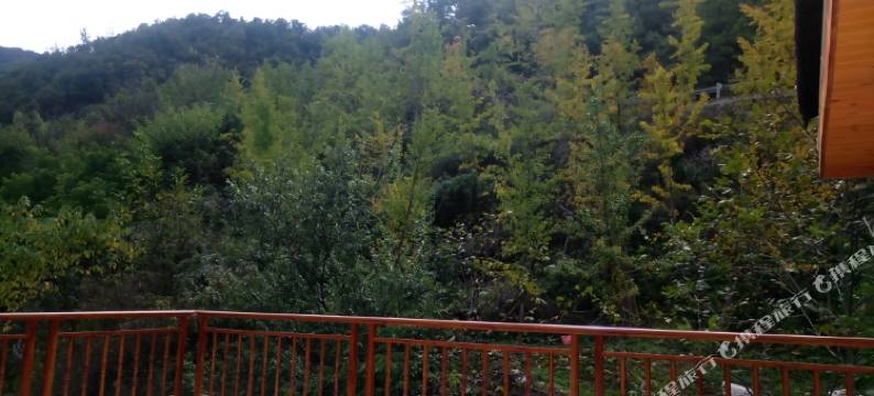 神农架红景天山庄图片