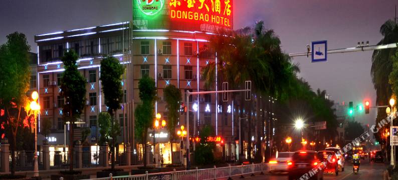 东宝温泉大酒店(新安路店)图片