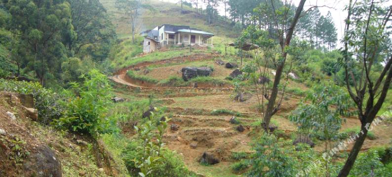 巴姆巴拉家庭度假屋(Bambaragala Holiday Home)图片