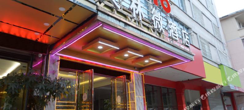 河池艾林微酒店图片