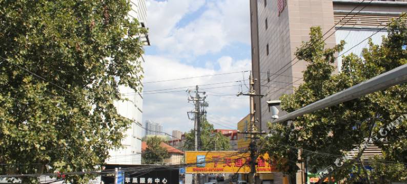 青岛从那以后青年旅社图片