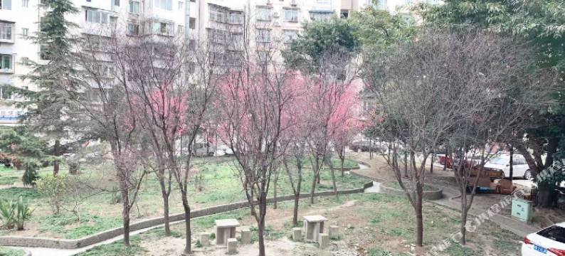 江油家鑫苑商务客栈图片