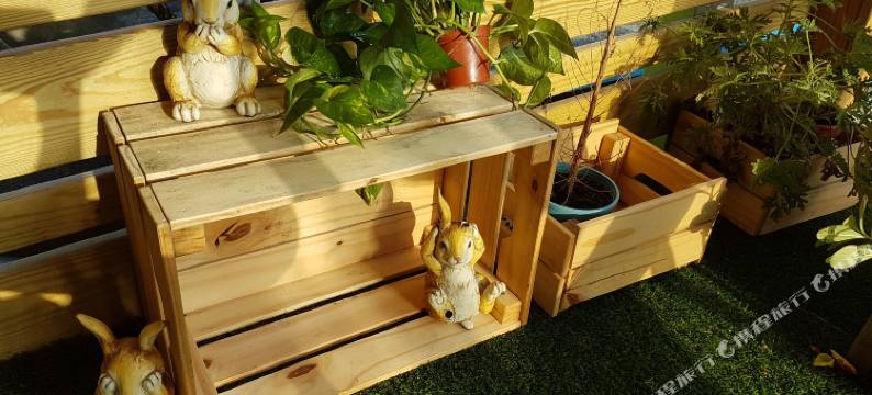 台东绿野仙踪民宿图片