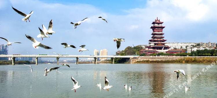 云孚里酒店(绵阳市政府店)图片