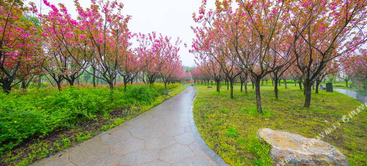 全椒笔峰酒店图片
