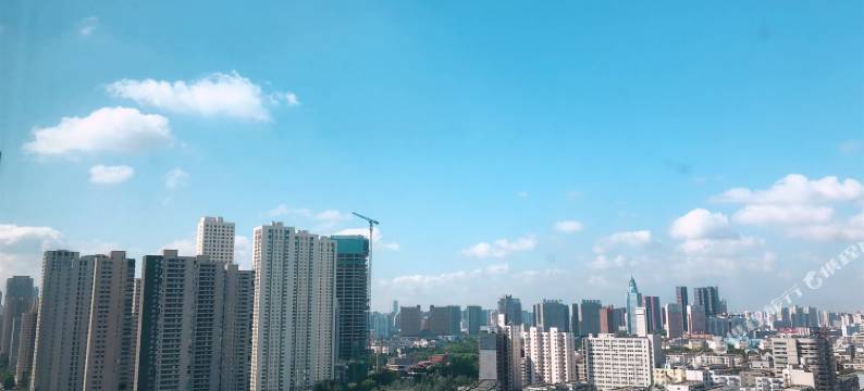 新民2046爱情公寓图片