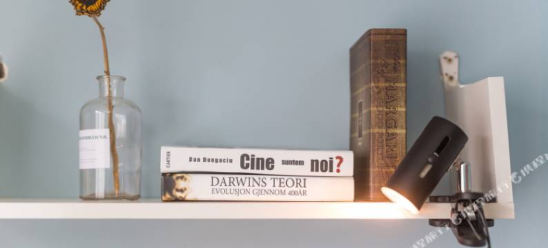 杭州大米饭公寓图片