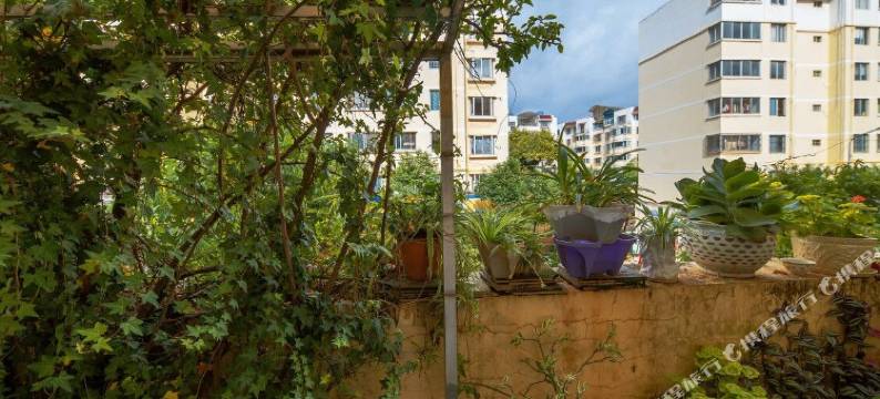 昆明杨林公寓图片