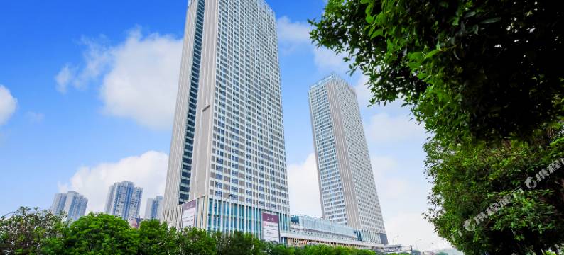 麗枫酒店(重庆龙头寺火车北站店)图片