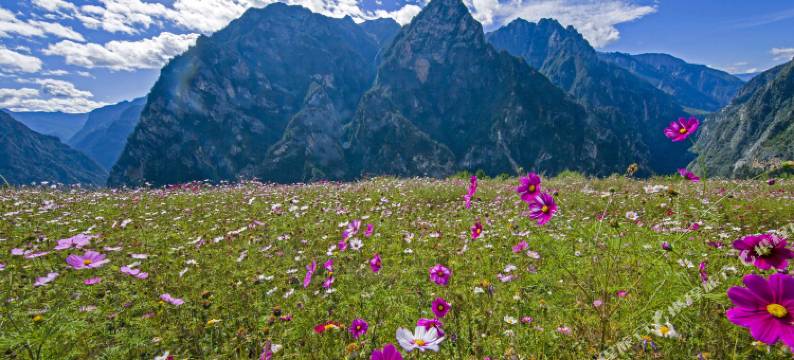香格里拉巴拉格宗水庄大酒店图片