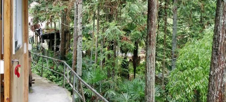 白水洋马鞍农家乐图片