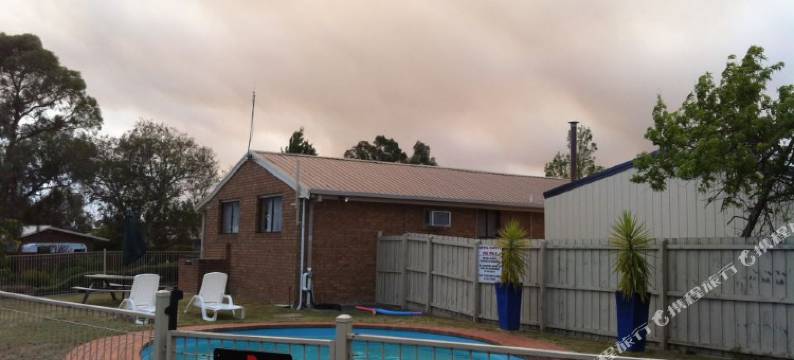 贝哥尼亚城市汽车旅馆(Begonia City Motor Inn)图片