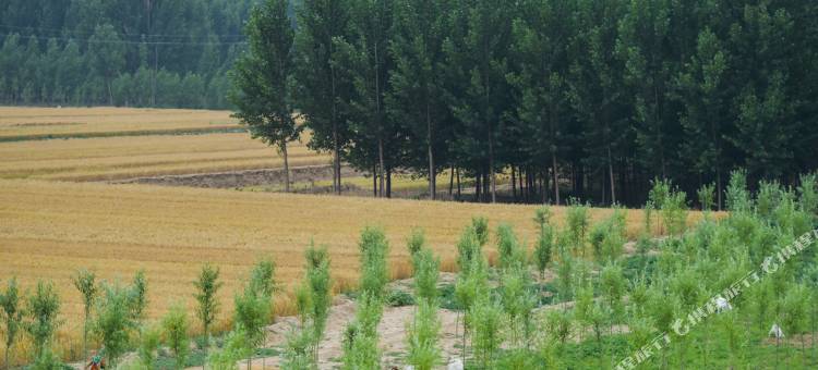 台前姜子牙的渡口图片