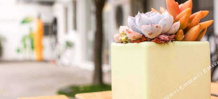 台中踢·生活背包客栈图片