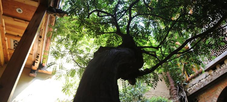 玉溪青云尚居民宿(聂耳故居店)图片