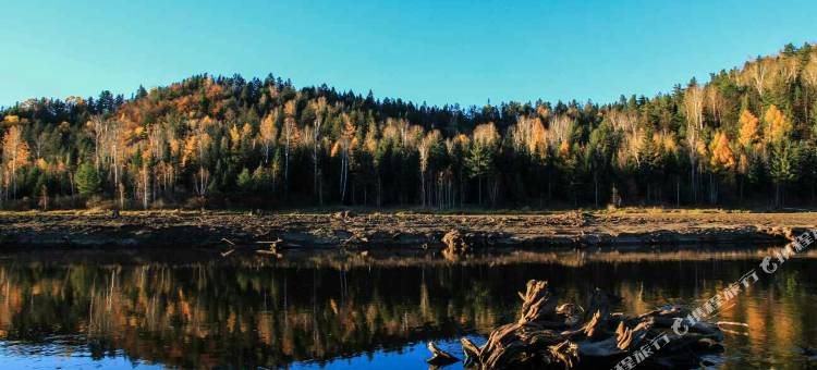 汤旺河白桦林旅馆图片