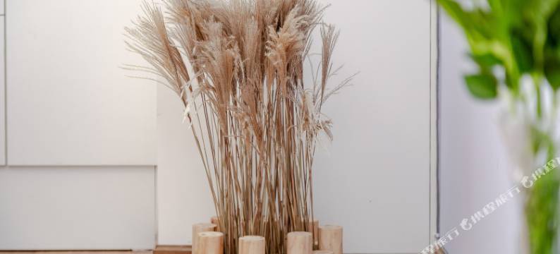 成都宿品民宿(3号店)图片