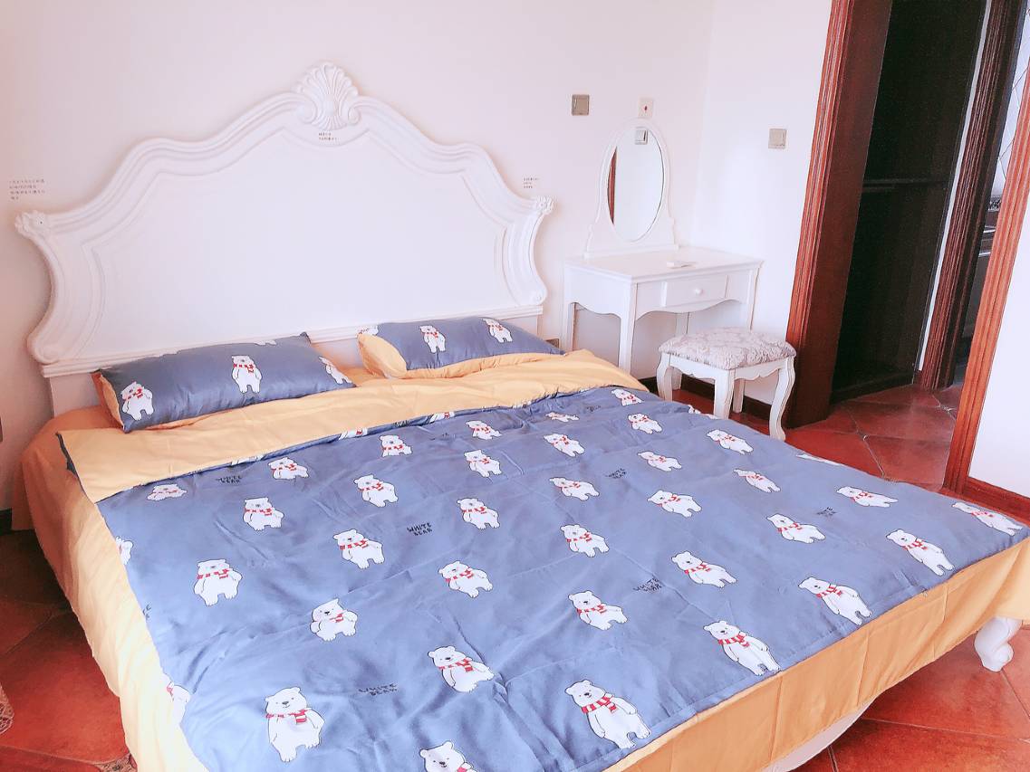 皮卡皮卡皮公寓(天津镜湖苑店)