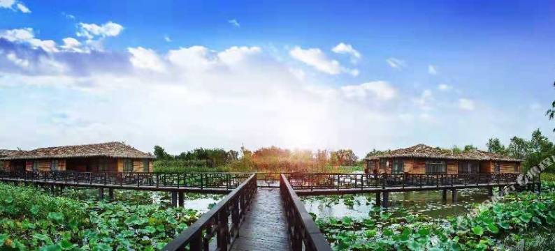 泗洪湿地度假村图片