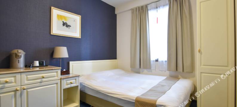 新大阪心斋桥酒店(New Osaka Hotel Shinsaibashi)图片